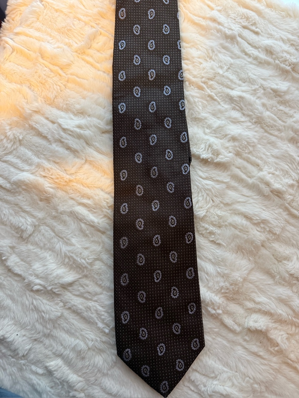 Ermenegildo Zegna Couture 100% Silk Paisley Tie Made in Italy
